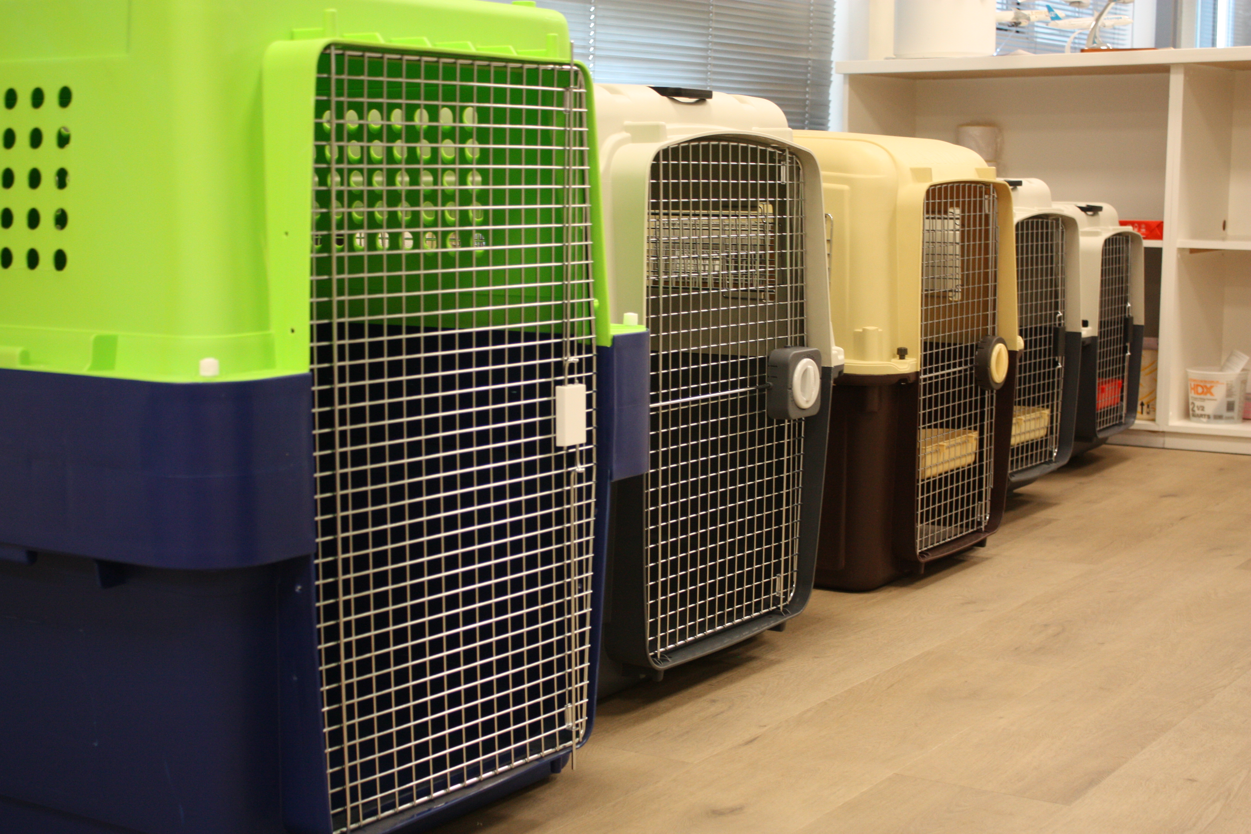03-transport-kennels.jpg